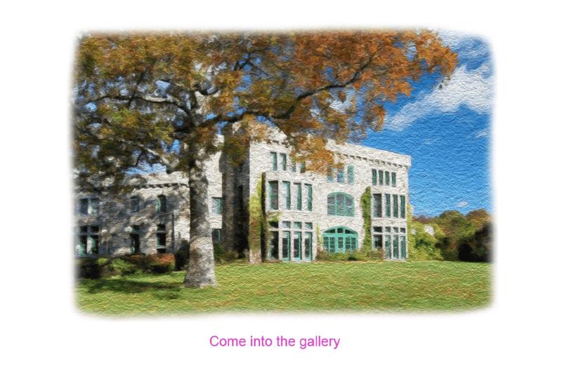 'Come into the gallery' Screenshot of interactive online project 'Stunner'