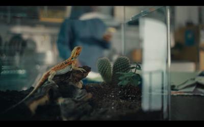 Example voiceover work video